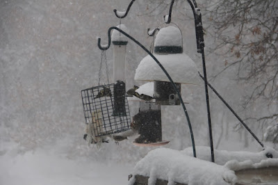 late February snow is far from rare