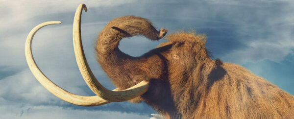 Epic 600-Mile Travels of One Wooly Mammoth May Hold Clues to Their Extinction