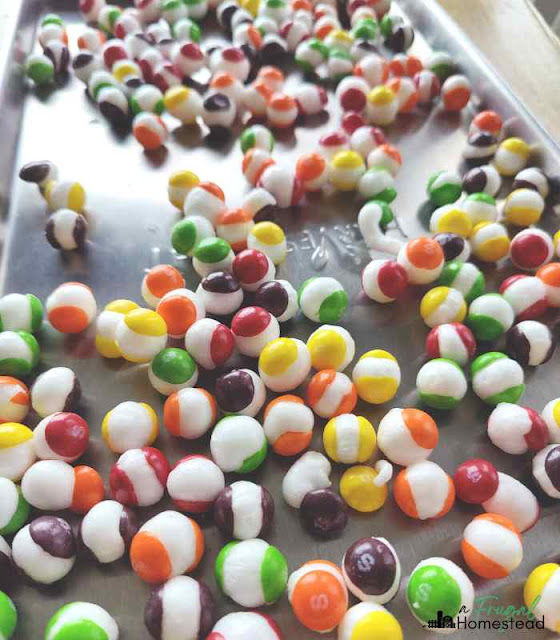 how to freeze dried skittles
