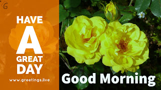 Best positive images.. yellow rose flowers good morning Start every day with good positive feel..