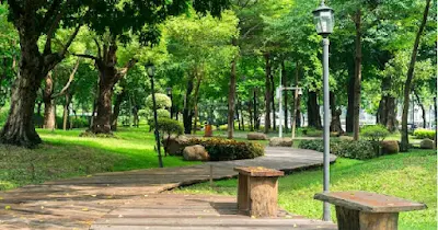 college campus park