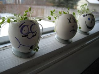 Sprouting Egg Heads