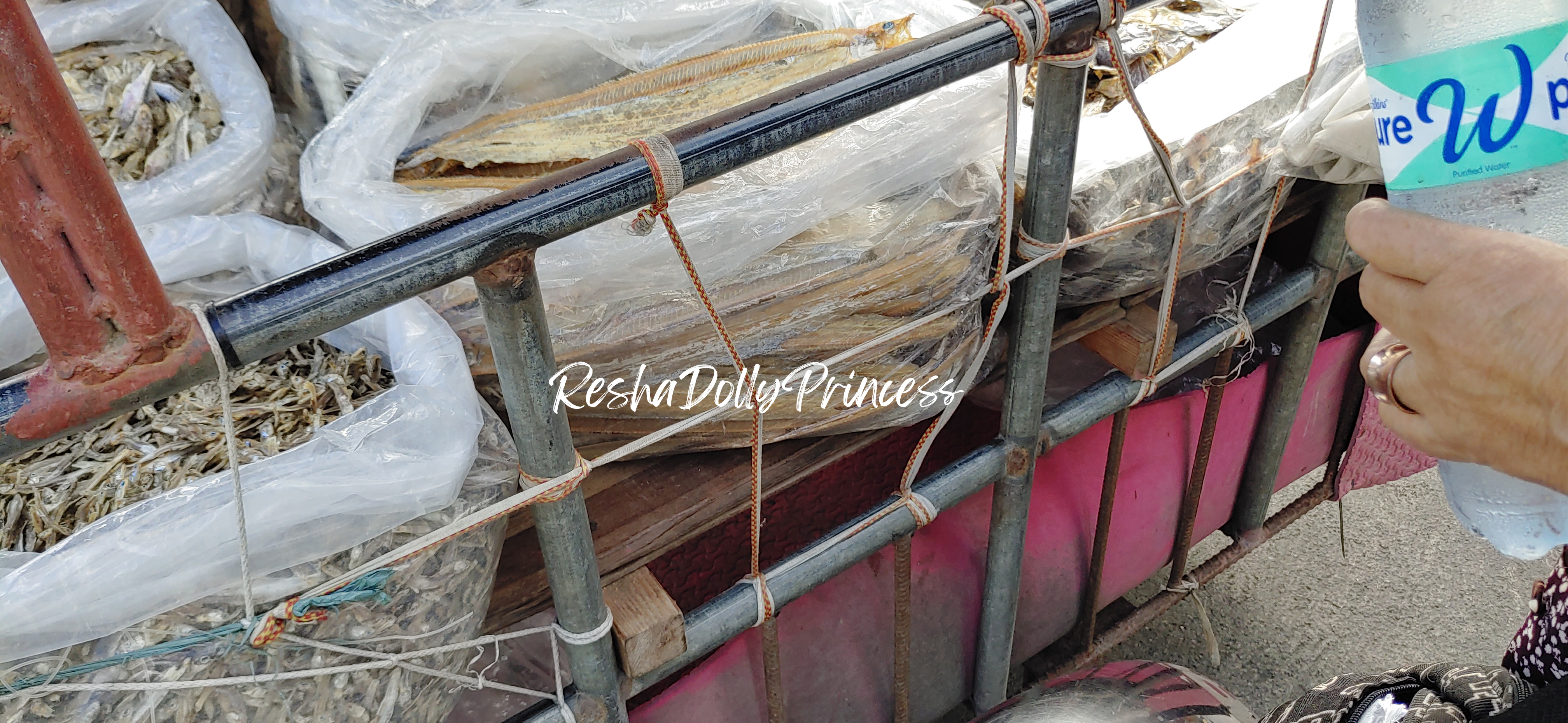 Lingayen Dried Seafood eel