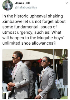 This guy wants to know how the Mugabe boys will afford their expensive shoes now that daddy is no longer in charge