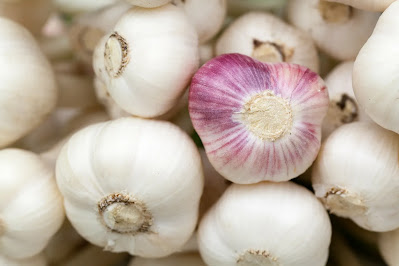 Garlic as Immune Booster Foods