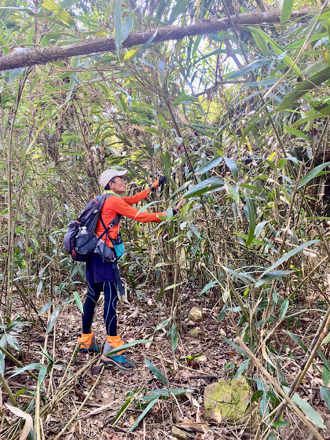 往二櫃山