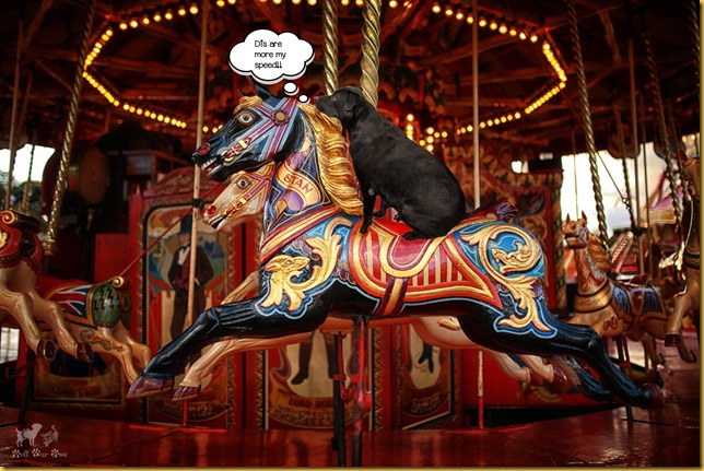 Matt on Carousel Memorial Day (©Bell Fur Zoo)