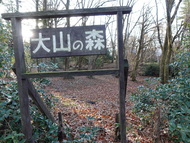 鳥取県道52号岸本江府線　大山の森