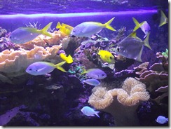 DSCF0189
