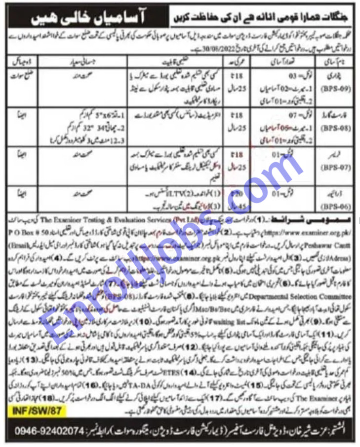Latest Forest Department Jobs Apply Now - KPK Forestry Division Jobs 2022