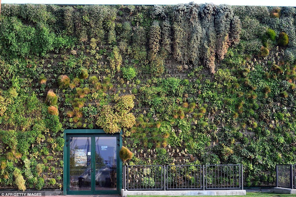 Vertical Flowers Gardens Walls