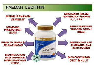 lecithin menguatkan ingatan