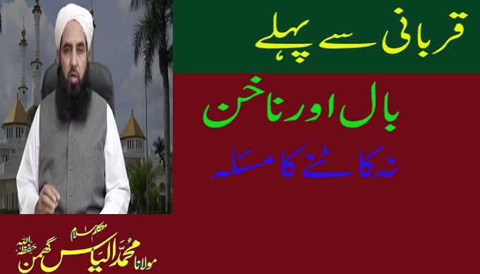 BAYAN||QURBANI MASAIL||بال اور ناخن نہ کاٹیں||MULANA ILYAS GHUMAN