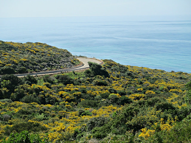 Sardegna on the road