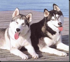 clip_image007