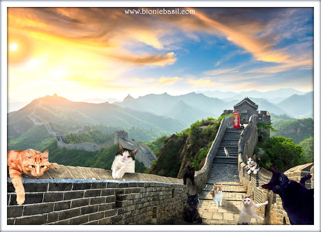 The B Team's Great Wall Selfie  ©BionicBasil® The Sunday Selfies Blog Hop