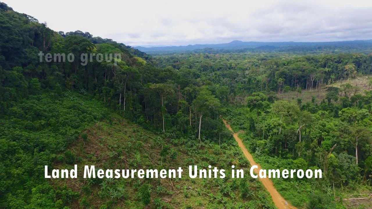Price and Land Measurement Units in Cameroon