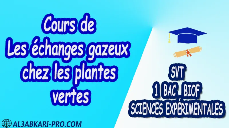 Cours de Les échanges gazeux chez les plantes vertes - SVT 1 ère Bac Sciences Expérimentales biof PDF Sciences de la Vie et de la Terre SVT 1 ère Bac Sciences Expérimentales biof Cours résumé devoirs corrigés exercice corrigé Documents Activités Fiche pédagogique Devoir de semestre 1 Devoirs de semestre 2 Exercices corrigés