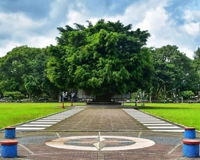 alun alun wonosobo