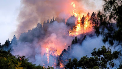 3.400 hectáreas arrasadas en el incendio de Gran Canaria