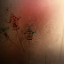 Latest Studio Background HD 8x12