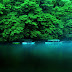 Tree in River Wallpaper