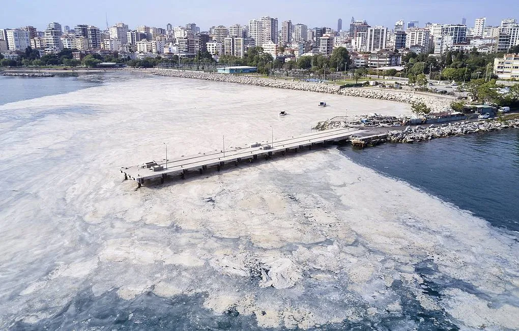 Scientists warn of the threat of a repeat of the environmental disaster in the Sea of Marmara