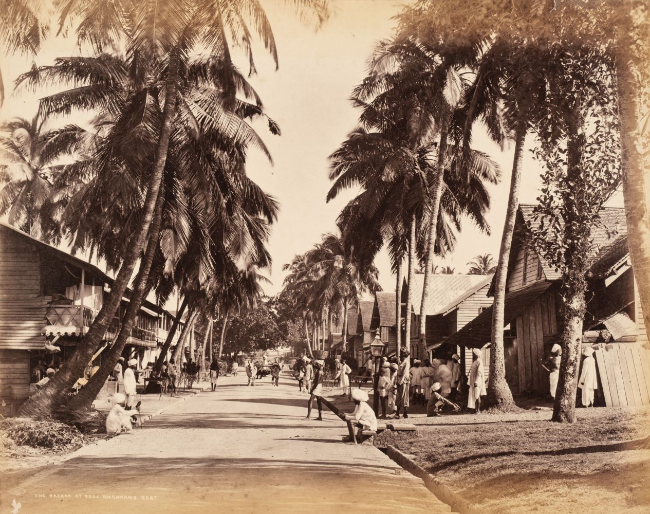 Street in Port Blair, Andaman & Nicobar Islands, India | Rare & Old Vintage Photos (1890)
