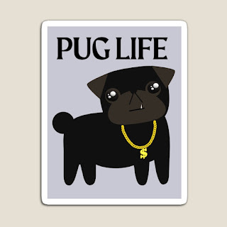 Words Pug Life with black pug, gold chain, pun on Thug Life on sticker or magnet.