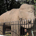 Elephanta Island’s ‘elephant’ stands refurbished at city zoo