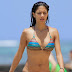 Pussycat Dolls Nicole Scherzinger in Bikini pictures & video