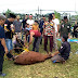 Di Hari Raya Idul Adha 1445 H Pormasi Cikoja Berqurban 1 Sapi dan 1 Ekor Kambing