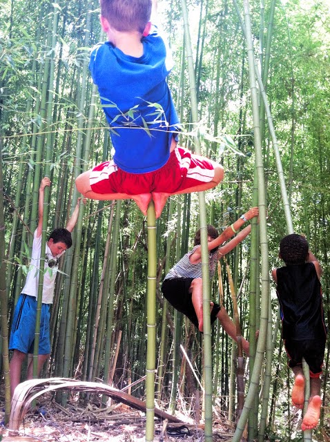 Alwas Dreamers
