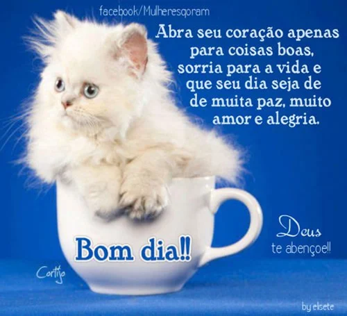 bom dia 