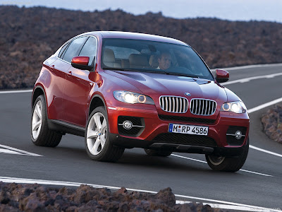 2009 BMW X6