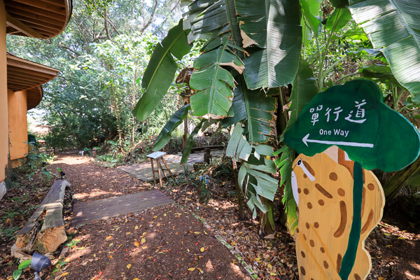 台中后里森林公園重新開放，聆聽花開的聲音機械花、四口之家好好拍