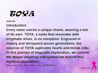 meaning of the name "TOYA"