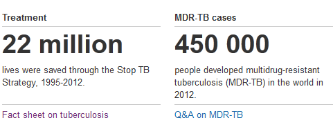 http://www.who.int/tb/en/