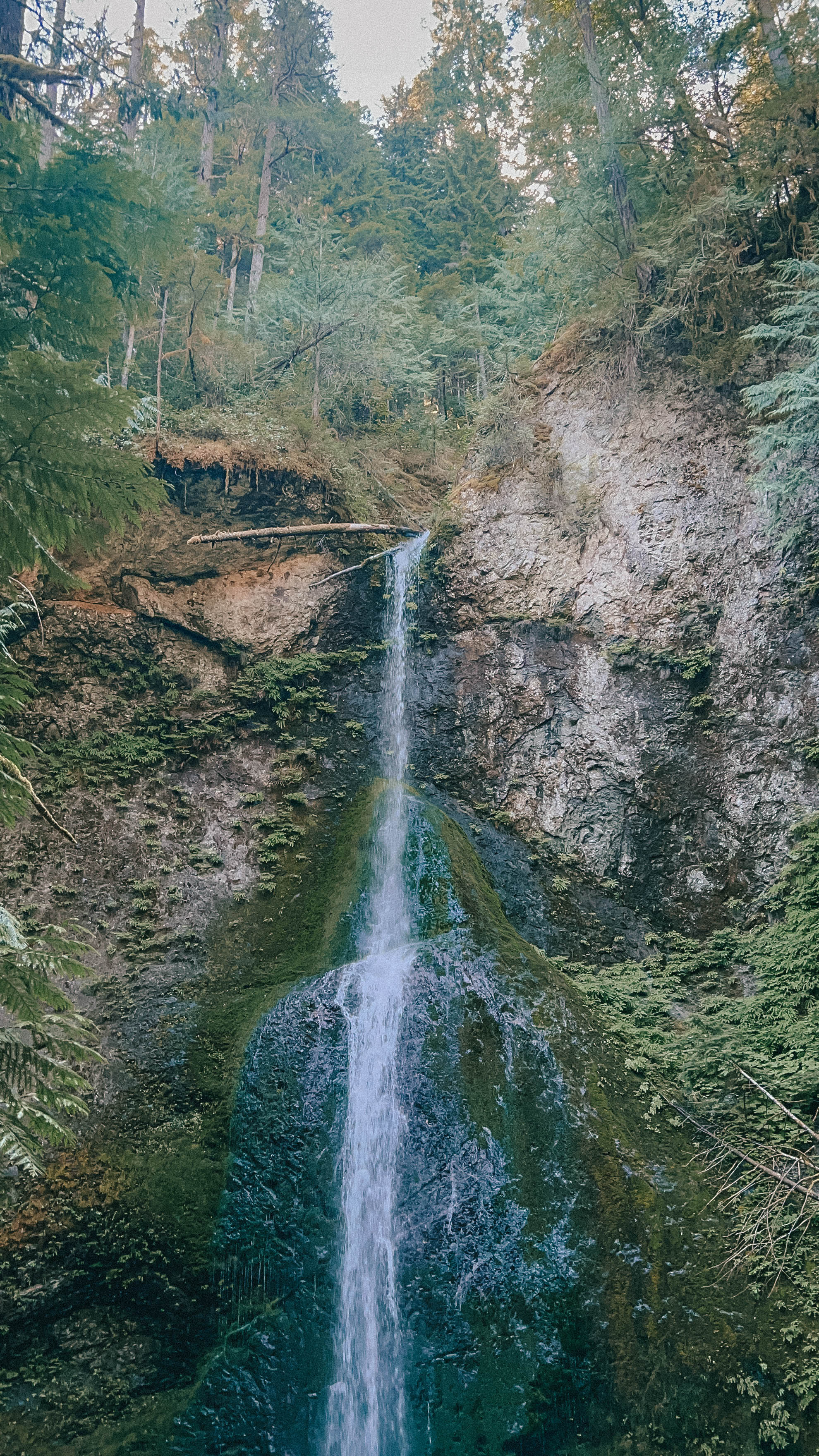 My Trip To Forks, Washington