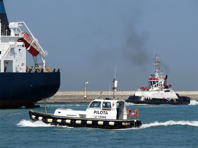Tanker Palanca Muscat IMO 9659672, tug Fratelli Neri IMO 9393125, port of Livorno