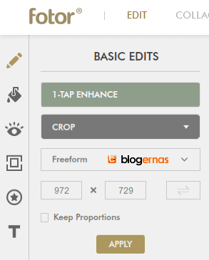 Cara Crop Online Foto di Situs Fotor