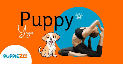 Puppy Yoga Near Me