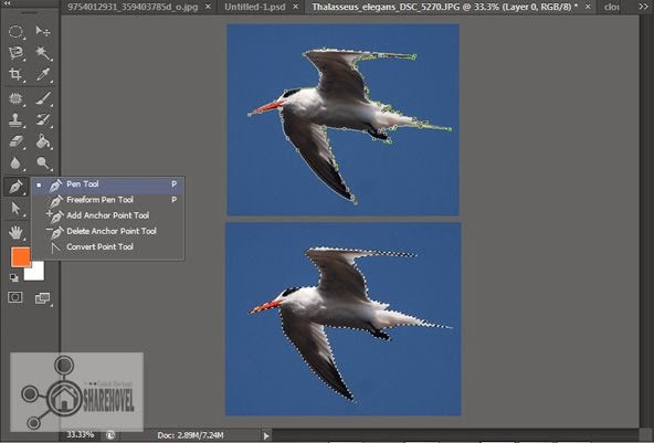 Cara Menggunakan Pen Tool di Photoshop