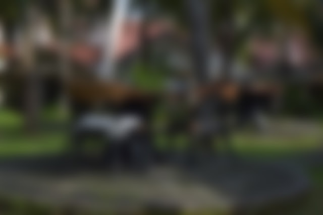 Blurred HD Image