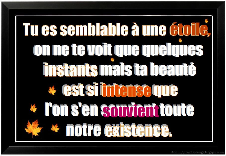 Citation sur l'amour en image