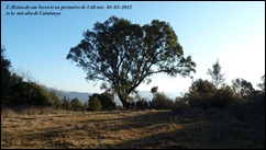 Nº 014 (2)
