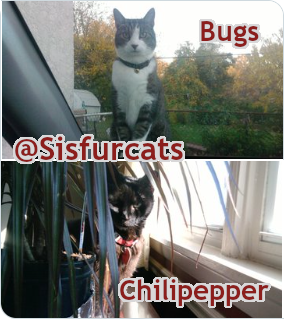 @sisfurcats Bugs and Chilipepper