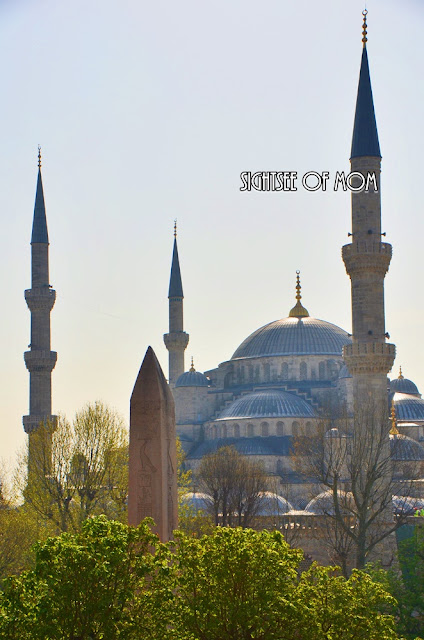 You can only see the gorgeous Sultanahmet Mosque at this level only from Ibrahim Pasha Palace courtyard.