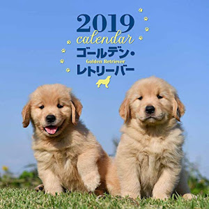 2019年大判カレンダー ゴールデン・レトリーバー