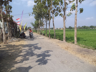 harga tanah di ngemplak kalikotes klaten, harga sawah di ngemplak kalikotes klaten, jadwal lelang kpknl surakarta, lelang internet djkn, lelangdjkn.kemenkeu